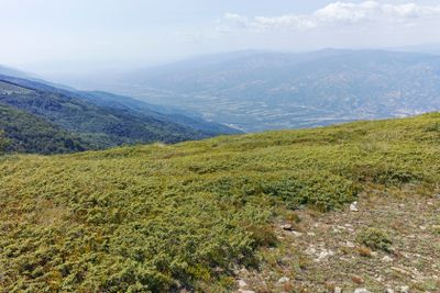Summer landscape of Belasitsa Mountain, Bulgaria