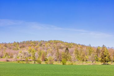 Green field in a rural spring landscape a beautiful...