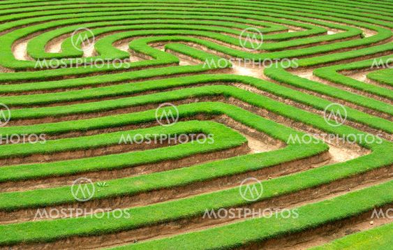 grass maze