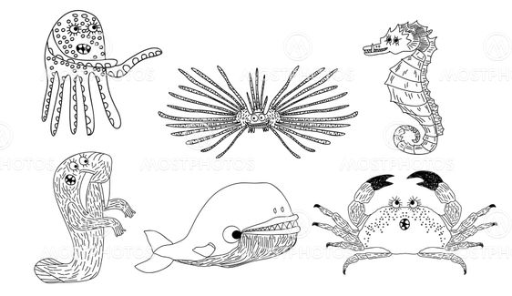 Marine inhabitants set