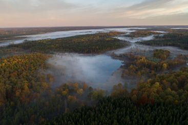 Dalshult, sjö, naturreservat, skåne