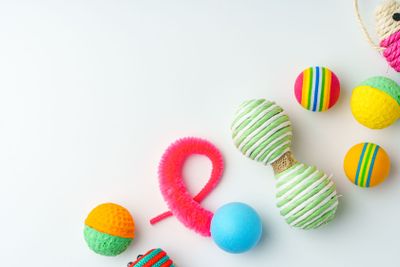 Cat toys isolated on white background studio shot