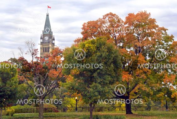 Politics In Fall