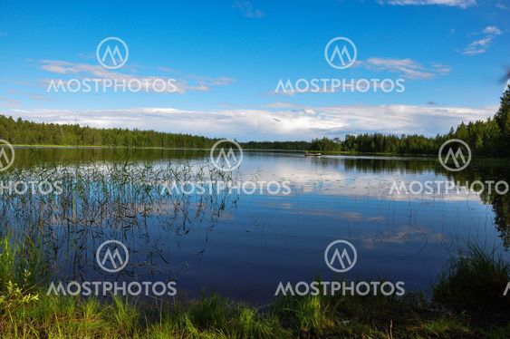 Lake view