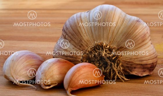 Garlic