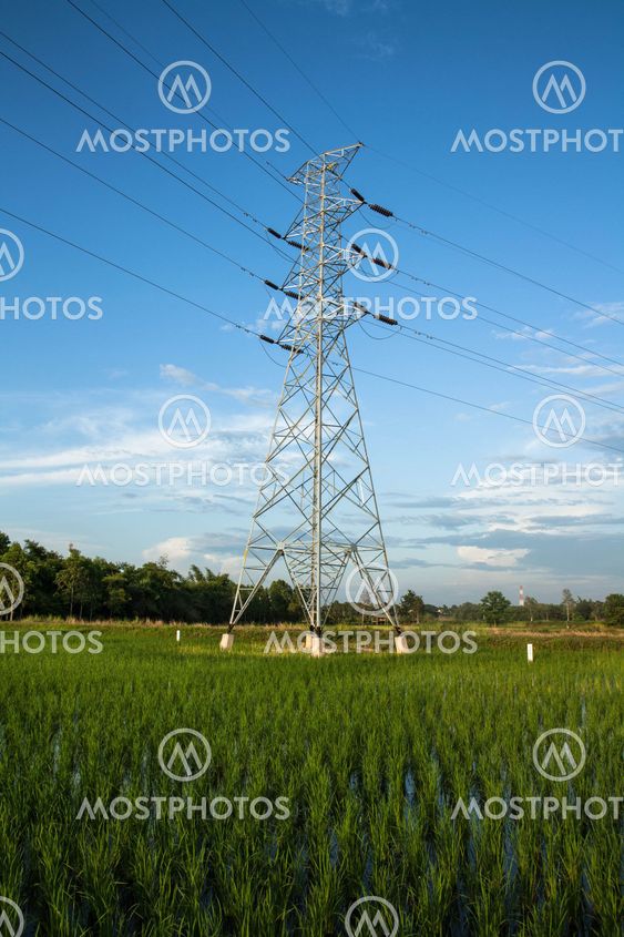 High voltage pylon in paddy