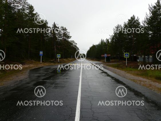 Road in the forest with a transition