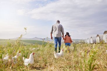 Grandfather, child and walk with holding hands on farm...