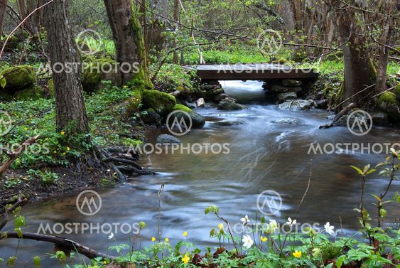Spring Floods