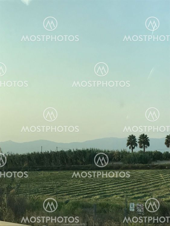 Foggy day, field and mountains in horizon