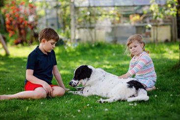 School kid boy and little toddler girl playing with...
