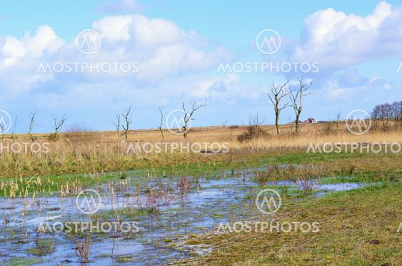 Nature reserve.