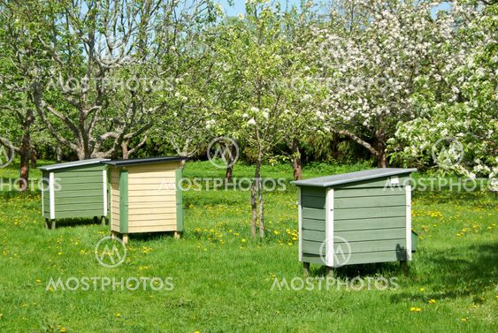 Beehives
