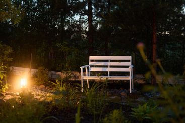 A Peaceful Garden Bench at Dusk, Beautifully Surrounded...