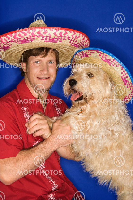 Dog and man wearing sombreros.