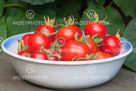 Tomatoes