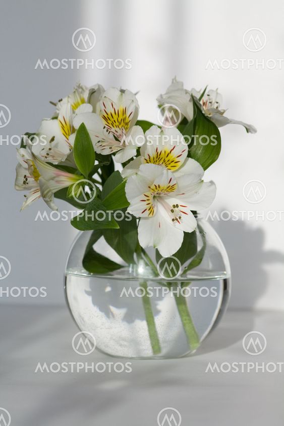 Delicate flower in vase