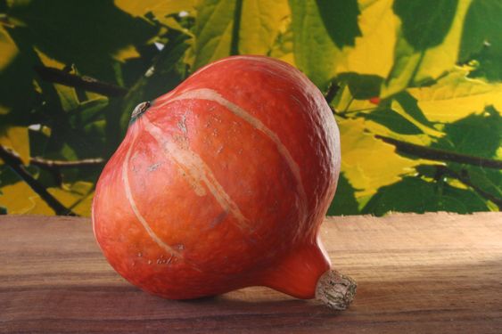 Pumpkin