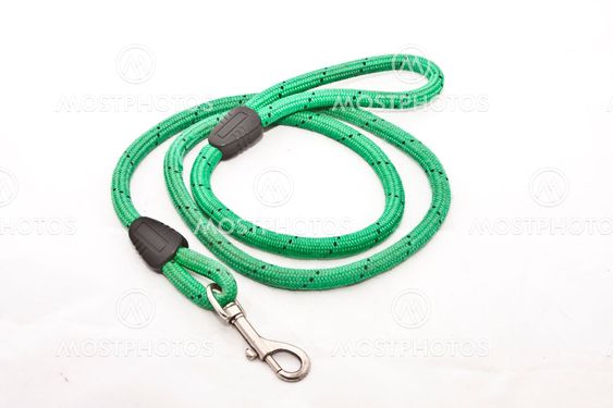 Dog Lead