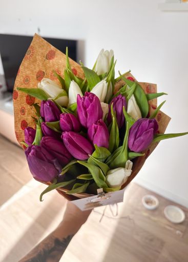 Tulip bouquet in hand with soft natural light and...