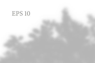 Transparent natural plant shadow. Light effect overlay....