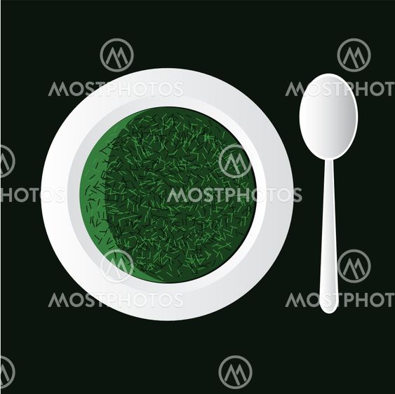 spinach soup