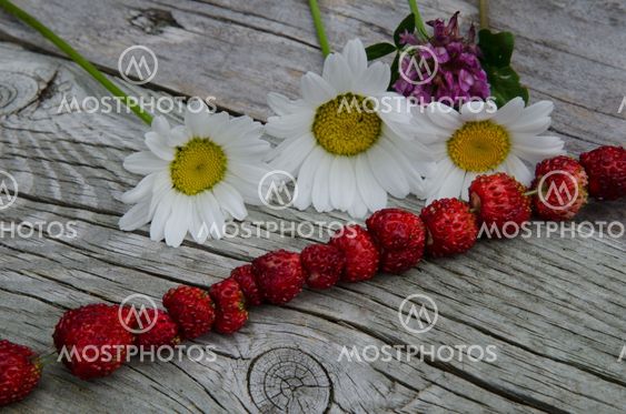Summer symbols - wild strawberries and flowers