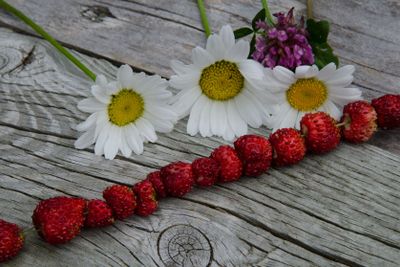 Summer symbols - wild strawberries and flowers