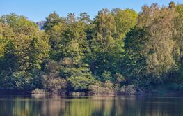 Öresjön ”Kalkan” i Båstad