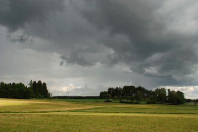 Regn på väg (Sweden)