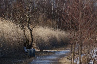 Gentofte Lake in winter 2013