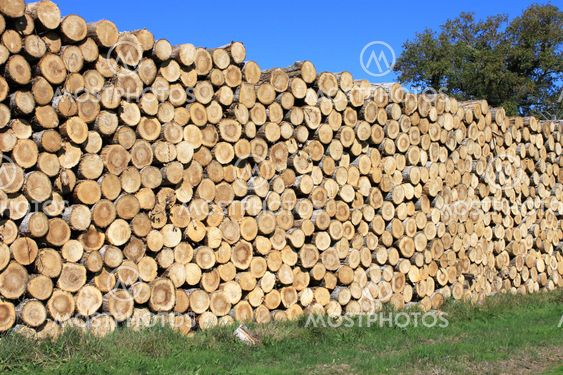 wood