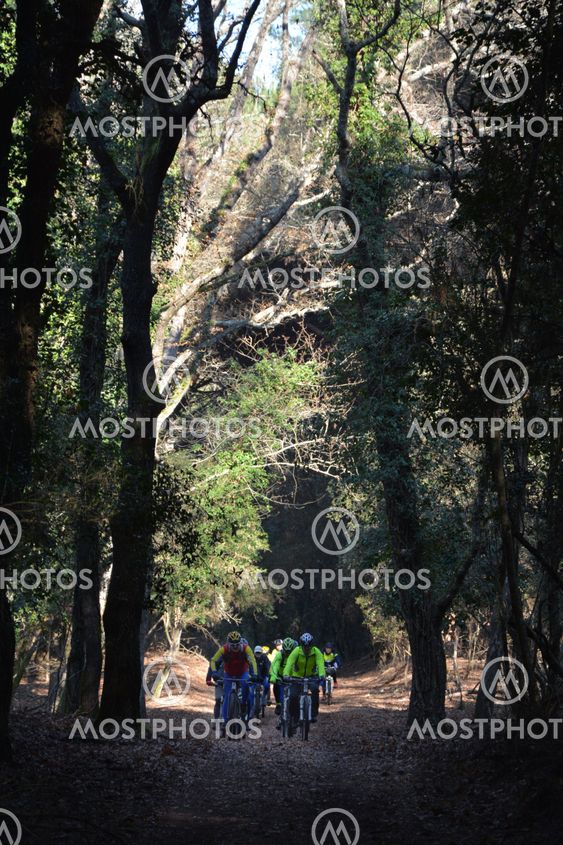 Bike ride
