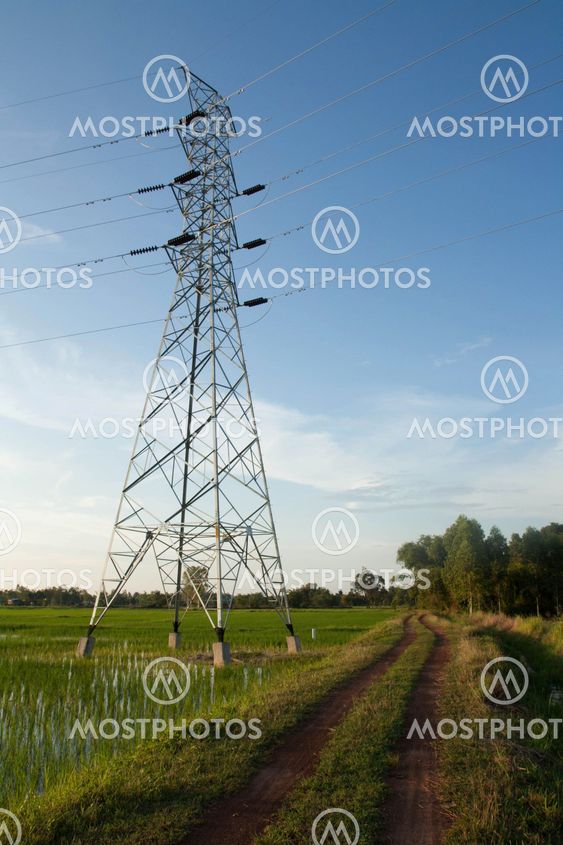 High voltage pylon in paddy