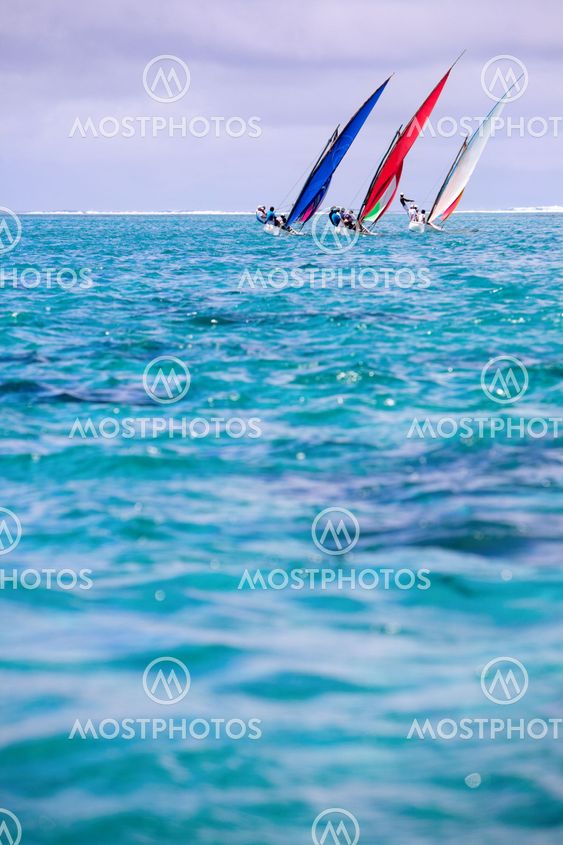 Regatta