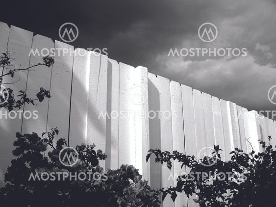 White fence in the middle
