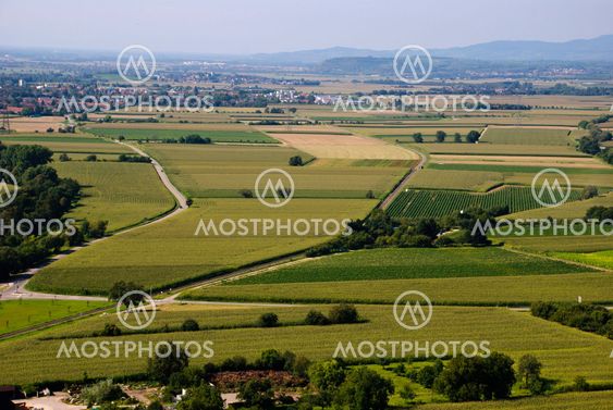 Agricultural landscape