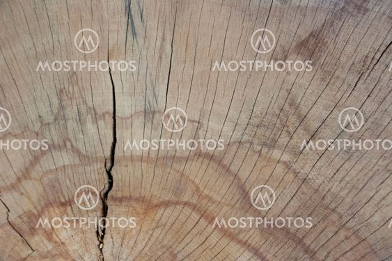 Wood texture