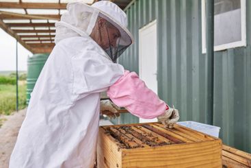 Woman, beekeeper and hive box for farming of honey...