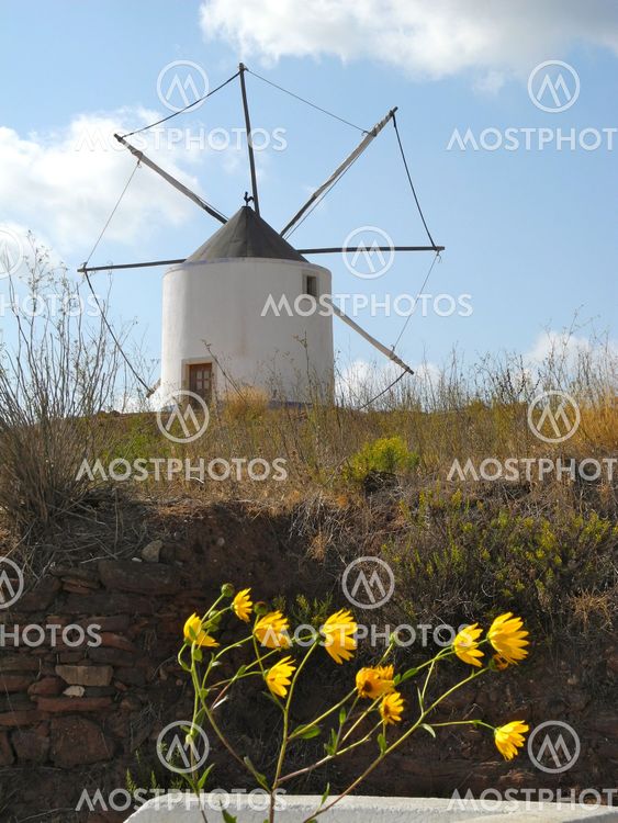 Old Portuguese Windmill with Field of Flowers