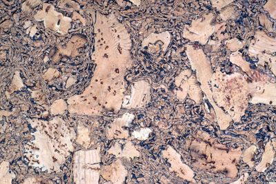 Cork texture, wallpaper color image