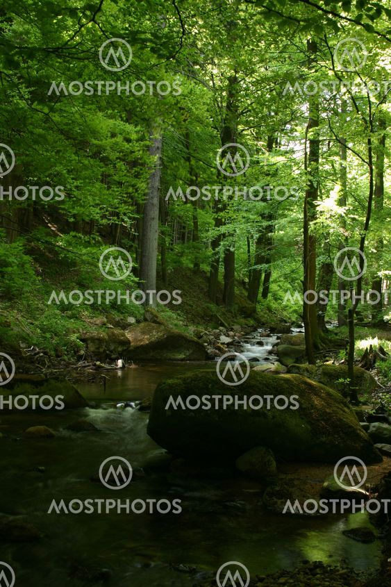 Mountain stream