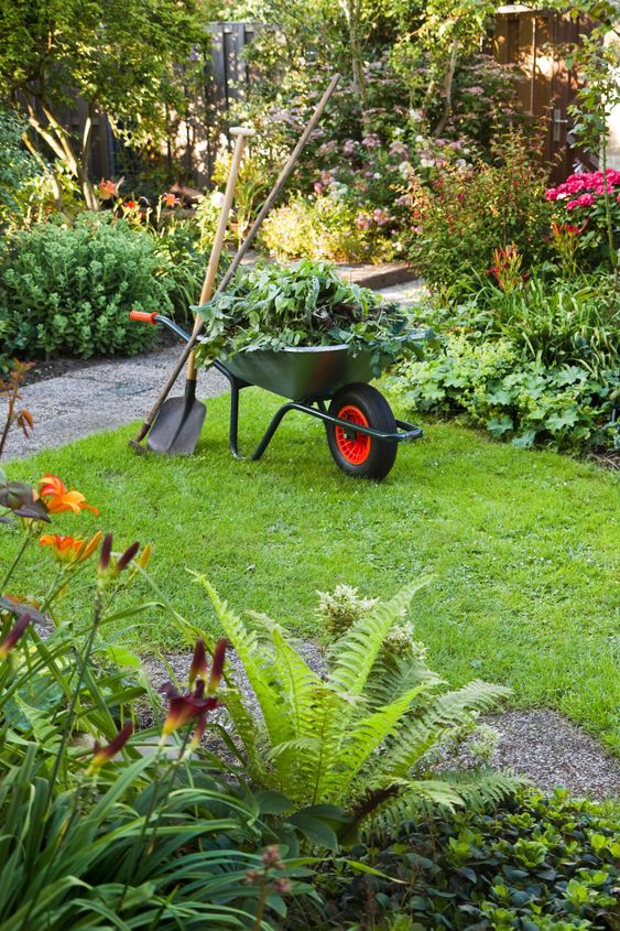 Working with wheelbarrow in the garden