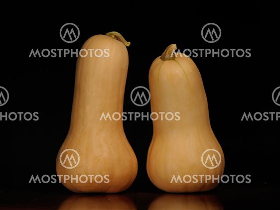 Mr & Mrs Squash