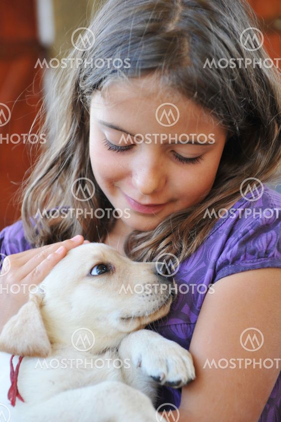 puppy labrador retriever and little girl