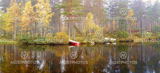 Autumn at Lake