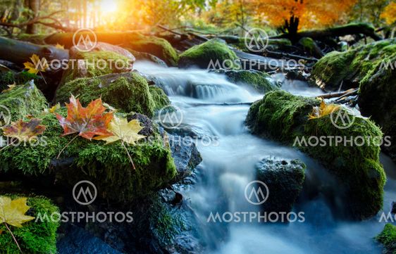 A river flows over rocks in autumn