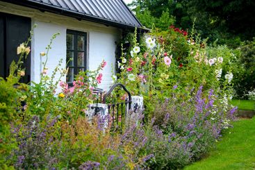 Traditional cottage garden in Skane