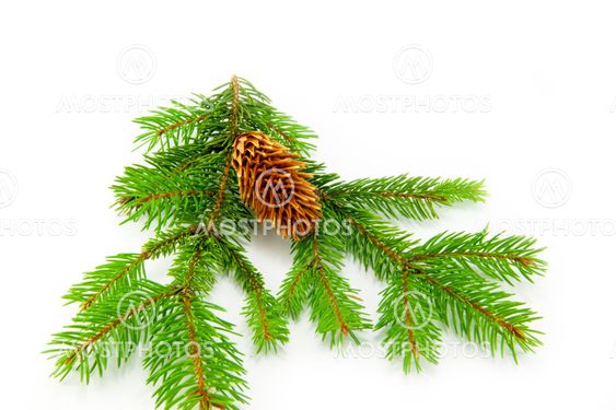 Beautiful Christmas decorations