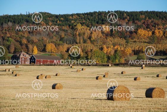 Höstskörden avklarad (Sweden)